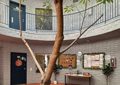 Learning Jungle La Mesa Courtyard