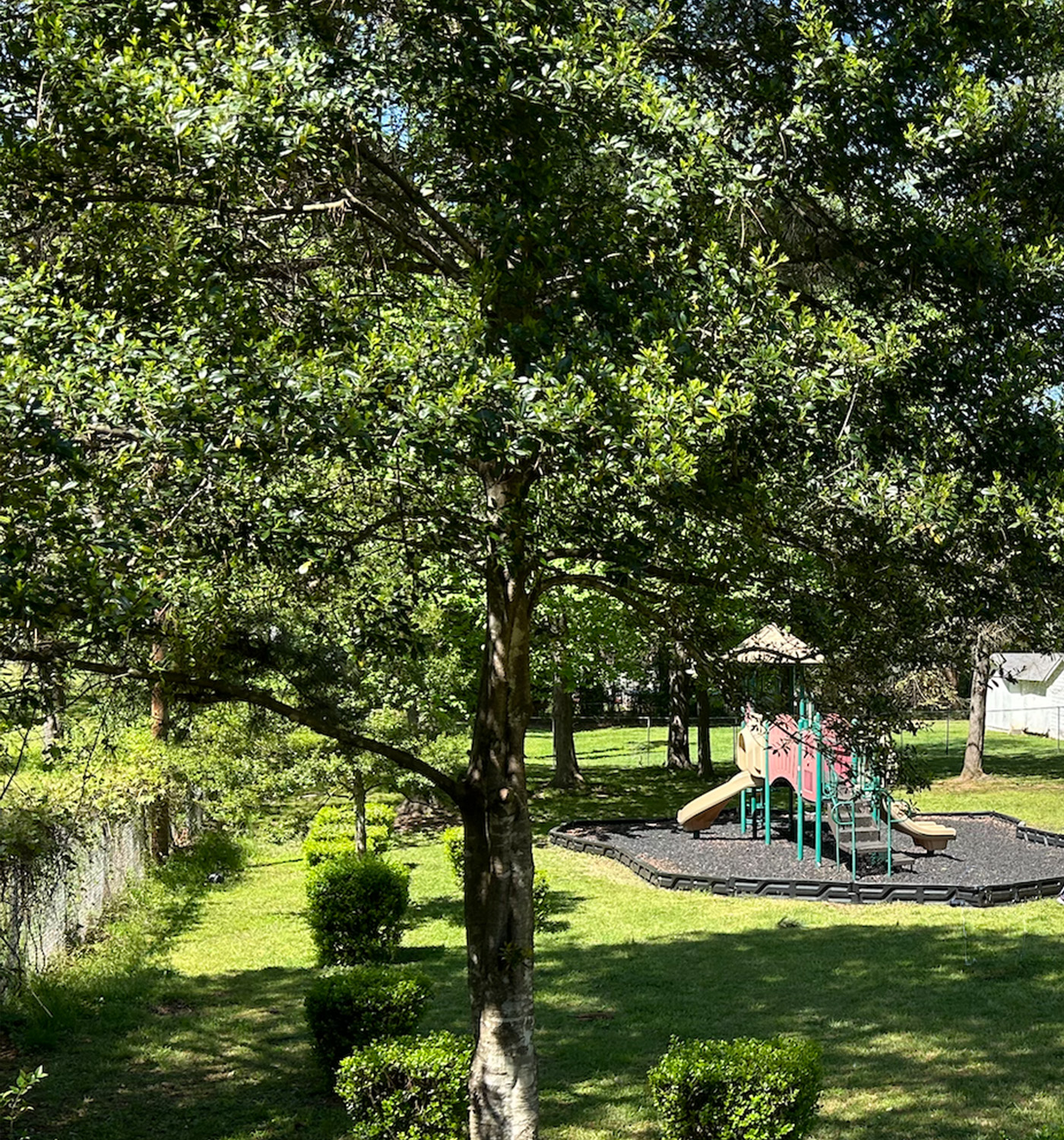 Fort Mill Piazza